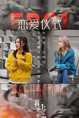 《我不恋爱的理由 加更版》：深度剖析单身女性的内心世界，恋爱真的那么难？