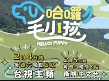 《哈啰！毛小孩》：宠物店的暖心日常，看人类和毛小孩如何互相治愈！