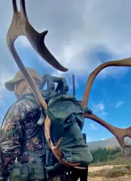 《厨猎记》：美食与冒险的疯狂碰撞，一场令人肾上腺素飙升的追逐！