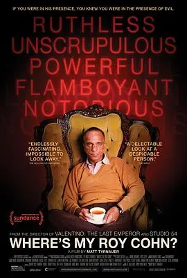 《我们的罗伊·科恩哪儿去了？》：揭秘传奇律师的时代印记与个人悲歌